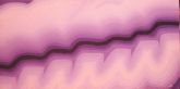 Painel Lilas 1,40x50x3,7cm